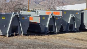 Affordable Dumpster Rental Service Carson City